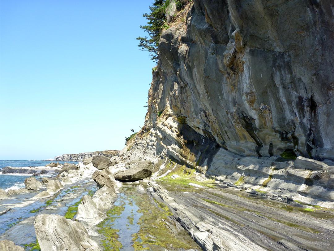 Seaweed-covered ridges