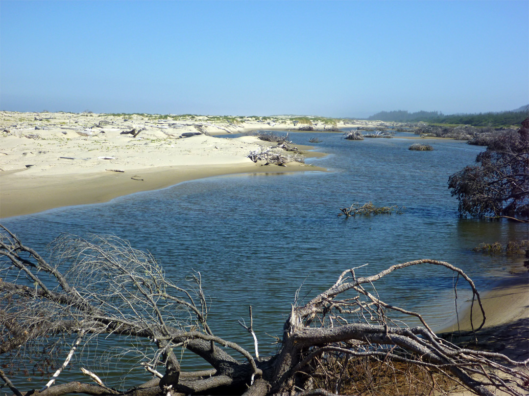 Tahkenitch Creek