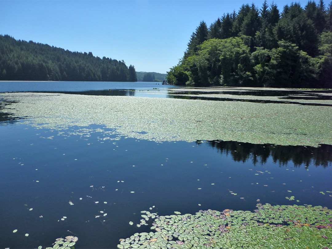 Tahkenitch Lake