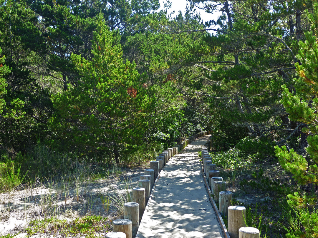 Boardwalk path to the beach