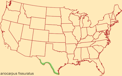 Distribution map for ariocarpus fissuratus