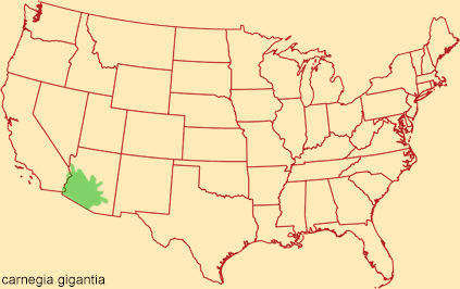 Distribution map for carnegia gigantia