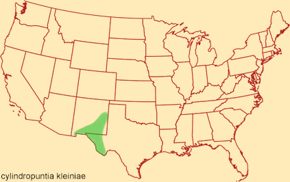 Distribution map for cylindropuntia kleiniae