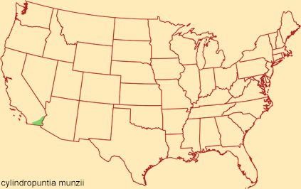 Distribution map for cylindropuntia munzii
