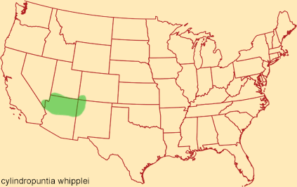 Distribution map for cylindropuntia whipplei