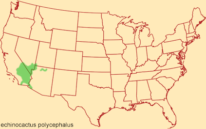 Distribution map for echinocactus polycephalus