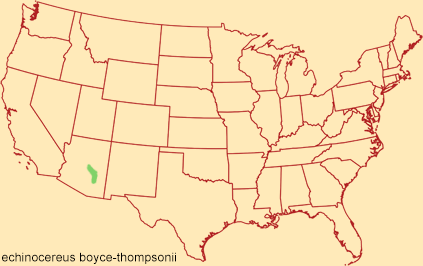 Distribution map for echinocereus boyce thompsonii