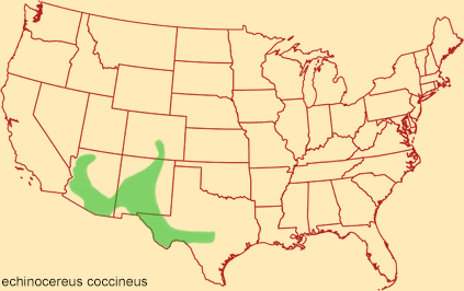 Distribution map for echinocereus coccineus