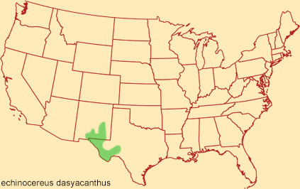 Distribution map for echinocereus dasyacanthus