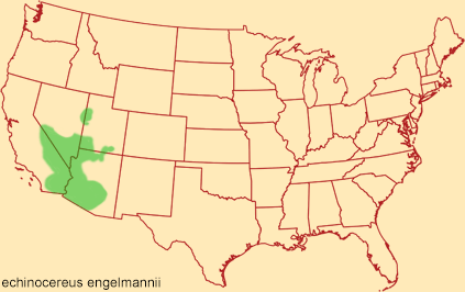 Distribution map for echinocereus engelmannii