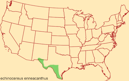 Distribution map for echinocereus enneacanthus