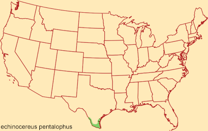 Distribution map for echinocereus pentalophus
