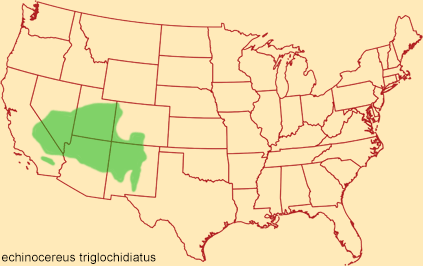 Distribution map for echinocereus triglochidiatus