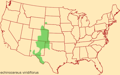 Distribution map for echinocereus viridiflorus