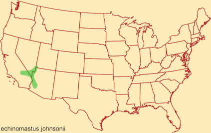 Distribution map for echinomastus johnsonii