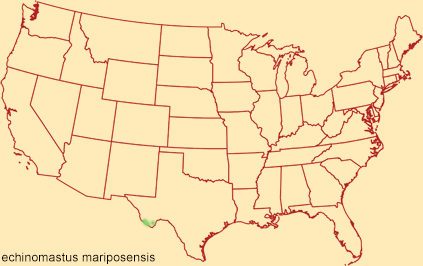 Distribution map for echinomastus mariposensis