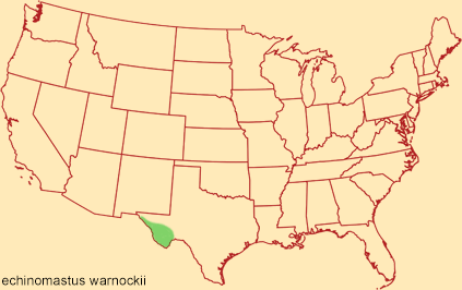 Distribution map for echinomastus warnockii