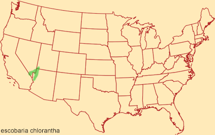 Distribution map for escobaria chlorantha