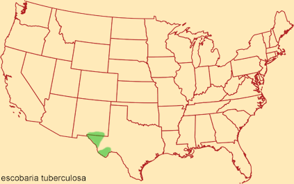 Distribution map for escobaria tuberculosa