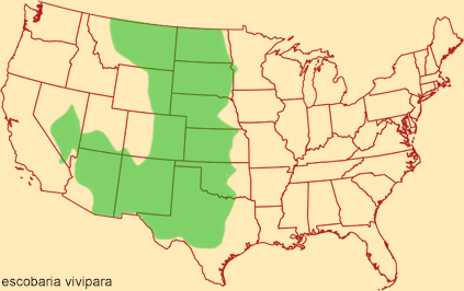 Distribution map for escobaria vivipara