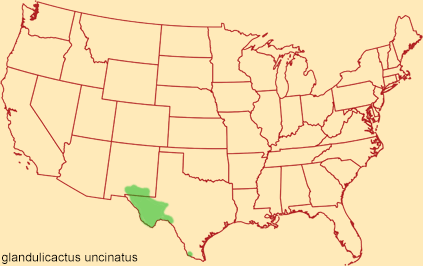 Distribution map for glandulicactus uncinatus