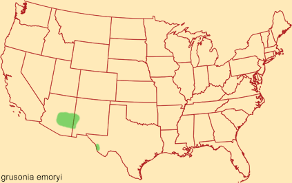 Distribution map for grusonia emoryi