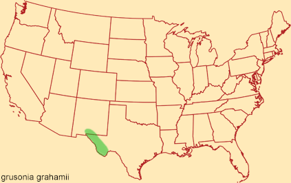 Distribution map for grusonia grahamii