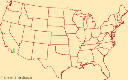 Distribution map for mammillaria dioica