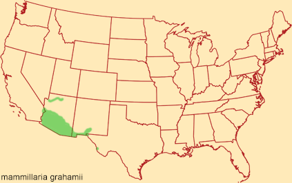 Distribution map for mammillaria grahamii