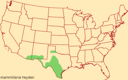 Distribution map for mammillaria heyderi