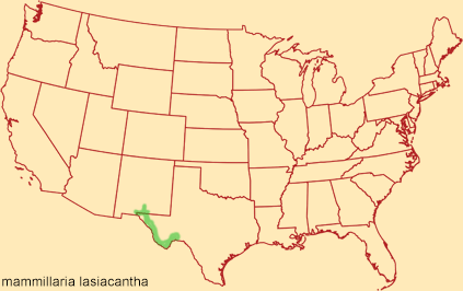 Distribution map for mammillaria lasiacantha