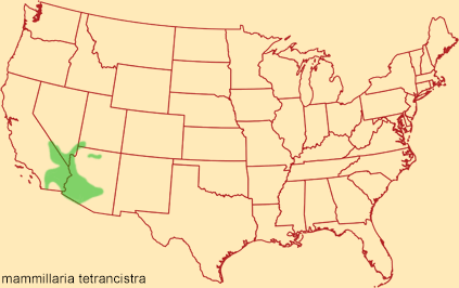 Distribution map for mammillaria tetrancistra