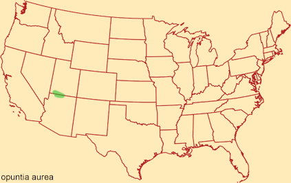 Distribution map for opuntia aurea