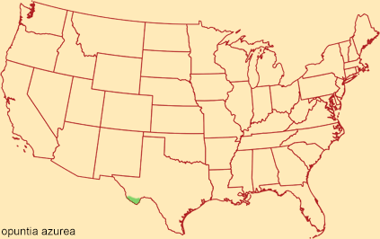 Distribution map for opuntia azurea