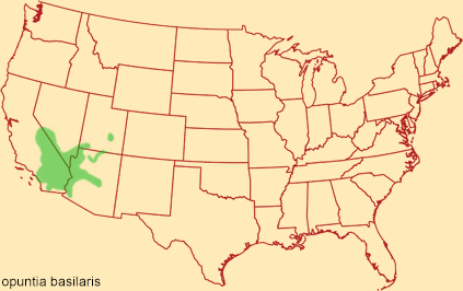Distribution map for opuntia basilaris