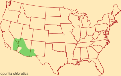 Distribution map for opuntia chlorotica