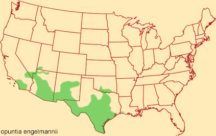 Distribution map for opuntia engelmannii