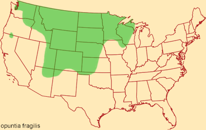 Distribution map for opuntia fragilis