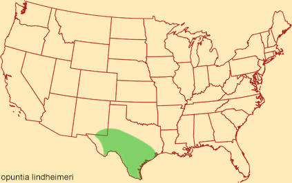Distribution map for opuntia lindheimeri