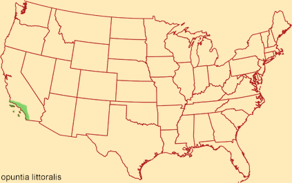 Distribution map for opuntia littoralis