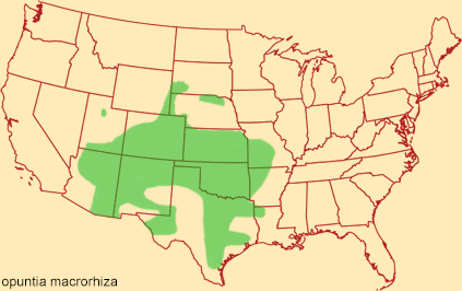 Distribution map for opuntia macrorhiza