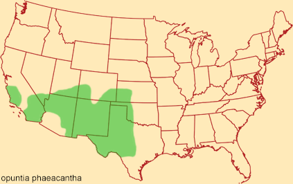 Distribution map for opuntia phaeacantha