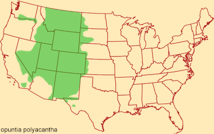 Distribution map for opuntia polyacantha