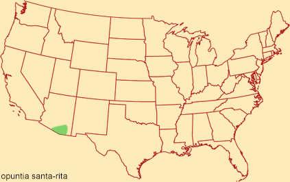 Distribution map for opuntia santa-rita