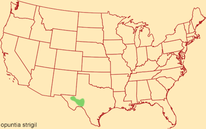 Distribution map for opuntia strigil