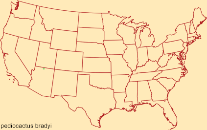 Distribution map for pediocactus bradyi