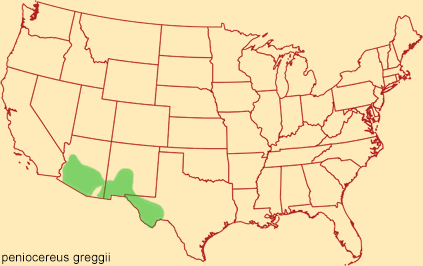 Distribution map for peniocereus greggii