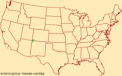 Distribution map for sclerocactus mesae-verdae
