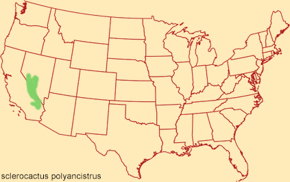 Distribution map for sclerocactus polyancistrus
