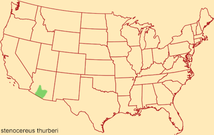 Distribution map for stenocereus thurberi